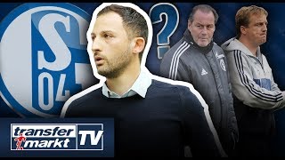 Tedesco auf Schalke vor dem Aus Stevens Büskens amp Co Wer könnte folgen  TRANSFERMARKT [upl. by Nomihs]