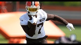 Why DOnta Foreman Was Such a Good Offseason Signing By the Browns  Sports4CLE 73124 [upl. by Ellimaj36]