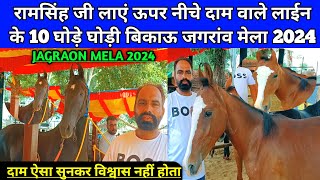 रामसिंह जी लाएं ऊपर नीचे दाम वाले लाईन के 10 बच्चें बच्ची बिकाऊ। Jagraon horse Mela 2024। [upl. by Leelaj]