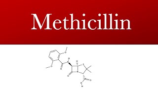 Methicillin  Penicillin antibiotic  Methicillin uses [upl. by Avrenim782]