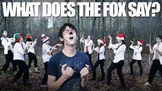 Papp Cousin Christmas Video 2013 What Does The Fox Say by Ylvis [upl. by Heidi533]