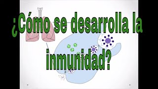 Inmunidad y covid ¿cómo nos hacemos inmunes ¿y las vacunas ¿quién se reinfecta [upl. by Annaegroeg]