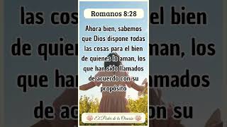 Mensaje Bíblico de hoy Romanos 828 MensajesBiblia Fe VersiculoDeLaBiblia TextosBiblicos [upl. by Qahsi]