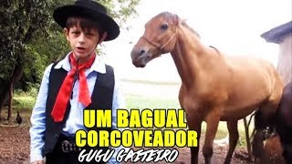 Gugu Gaiteiro  Um Bagual corcoveador [upl. by Sears]