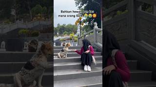 momenharu di tempat wisata‼️‼️wisata perjalanan momenharu viraltiktok inginmemelukdirimu [upl. by Seve]