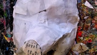 Part 2 MYSTERY ANIMAL FACES Crafting Paper Ears amp Tongue  ASMR Visual Textures [upl. by Nyltiac]