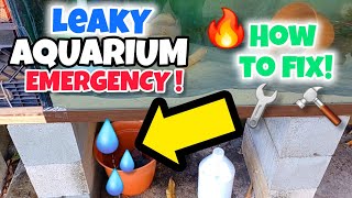 How To Fix A LEAKING AQUARIUM💦 [upl. by Cowey]