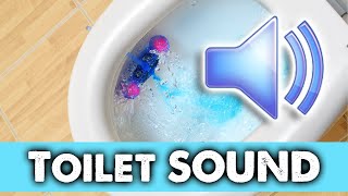 Toilet flush SOUND EFFECT no copyright FREE Audio HQ WAV [upl. by Marasco]