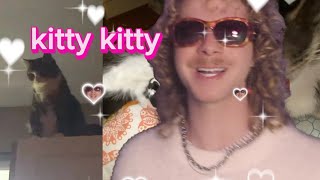 Cherry Blonde  kitty kitty Official Music Video [upl. by Marijn489]