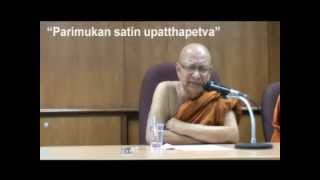 SATIPATTHANA  Ven Dr M Punnaji [upl. by Jillene208]