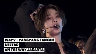 241005  4K  WAYV  NECTAR  YANGYANG FANCAM FOCUS  ON THE WAY TOUR IN JAKARTA [upl. by Baalman]