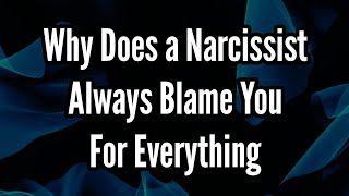 Why Does a Narcissist Always Blame You For Everything [upl. by Delanos]