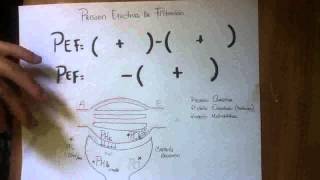 PRESION EFECTIVA DE FILTRACION [upl. by Aierdna]