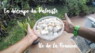 La découpe du Palmiste  Ile de la Reunion [upl. by Baudin]