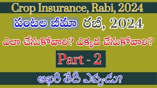 How to apply crop insurance in 2024పంటల బీమా ఎలా చేసుకోవాలి ఆఖరి తేది ఎప్పుడు [upl. by Inga]