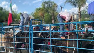 En cajones Rodeo Cañada 2019 [upl. by Eanel954]