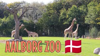 Aalborg Zoo Denmark 🇩🇰 [upl. by Alysoun423]