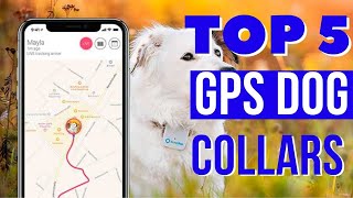 The 5 Best GPS Dog Tracking Collars For 2024 [upl. by Opalina]