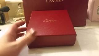 Cartier Love necklace  Small review [upl. by Anehsat]