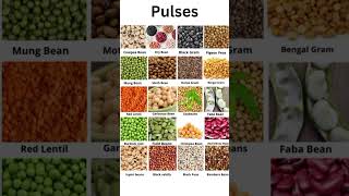 pulses  pulses names in english  grammar vocabulary english [upl. by Llegna]