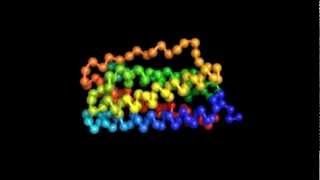 Protein Folding [upl. by Brittain519]