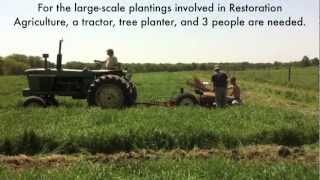 LargeScale Tree Planting  Restoration Agriculture [upl. by Elleoj]