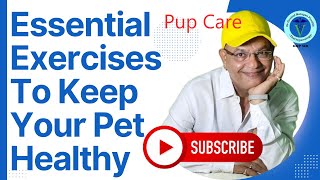 Essential Exercises to Keep Your Dog Healthy 2852 Weeks  GNP Sirquot [upl. by Weidar]