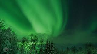 Tromso Norway Northern Lights Timelapse [upl. by Noryahs]