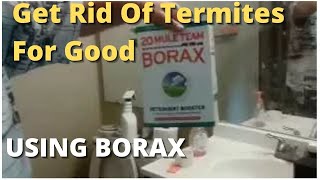 How To Get Rid Of Termites For Good Using Borax  Best Solution Do It Yourself [upl. by Amadas345]