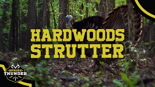 Turkey Hunting in the HARDWOODS  Self Film  Spring Thunder [upl. by Jolynn859]