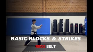 Block amp Strike for current red2 belt [upl. by Shaya376]