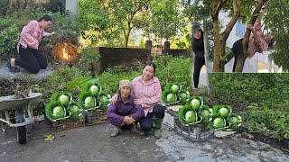 Single girl cleans abandoned yard to find land to grow vegetables in Styrofoam boxes [upl. by Crowley538]