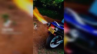 Honda Hornet  Back fire  Hornet 250  Hornet backfire [upl. by Anyk]