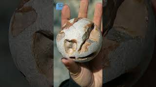 How fast can a limestone cannonball go  Mythbusters  Science Channel [upl. by Plank]