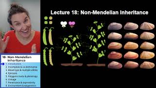 NonMendelian Inheritance 1 Intro [upl. by Noyart]