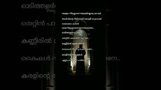 kanneeril mungi njanlyrics malayalam mappila song shorts [upl. by Ellimahs]