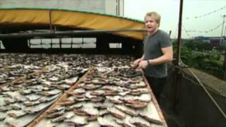 Gordon Ramsay Shark Bait  Shark Fins [upl. by Giarla578]