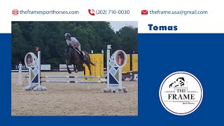 Tomas  Morven Park Schooling Jumpers [upl. by Roeser]