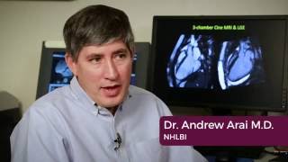 Tutorial Cardiac CINE MRI Process with Dr Arai [upl. by Tamera]