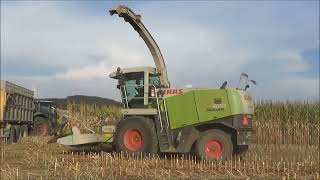 Siláže 2024 2x Claas Jaguar 870 2x Tatra Phoenix 3x Claas Axion 2xNew Holland a Deutz Fahr [upl. by Bullock]