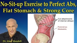 The NoSitUp Exercise to Perfect Abs Flat Stomach and Strong Core  Dr Mandell [upl. by Leiria]