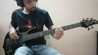 Tool  Vicarious Bass cover [upl. by Linnie845]