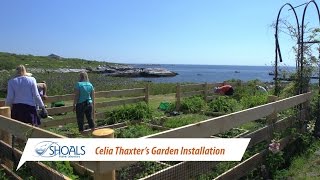 Celia Thaxters Garden Installation at Shoals Marine Lab [upl. by Einhorn]