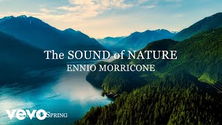 Ennio Morricone  The Sound of Nature Season 3 Spring  Soundtracks Collection  Rem [upl. by Yrokcaz154]