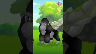 नेपाली बाल गीत  Jungle Animals Song  shorts nepalirhymes nepalicartoons [upl. by Presber]