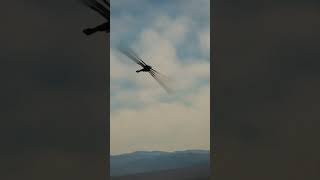 Rare footage of a Ornithopter conducting orientational stress maneuvers [upl. by Yrrol]