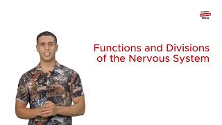 Functions and Divisions of the Nervous System [upl. by Adamek]