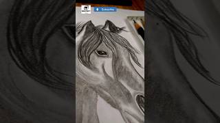 Sketch 🐴 Drawing step by step shorts art sketch beginners [upl. by Minica]