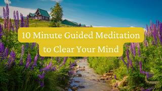 10 Minute Guided Meditation to Clear Your Mind [upl. by Oinota532]