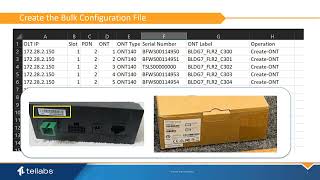 Using ONT Bulk Configuration [upl. by Leighland]